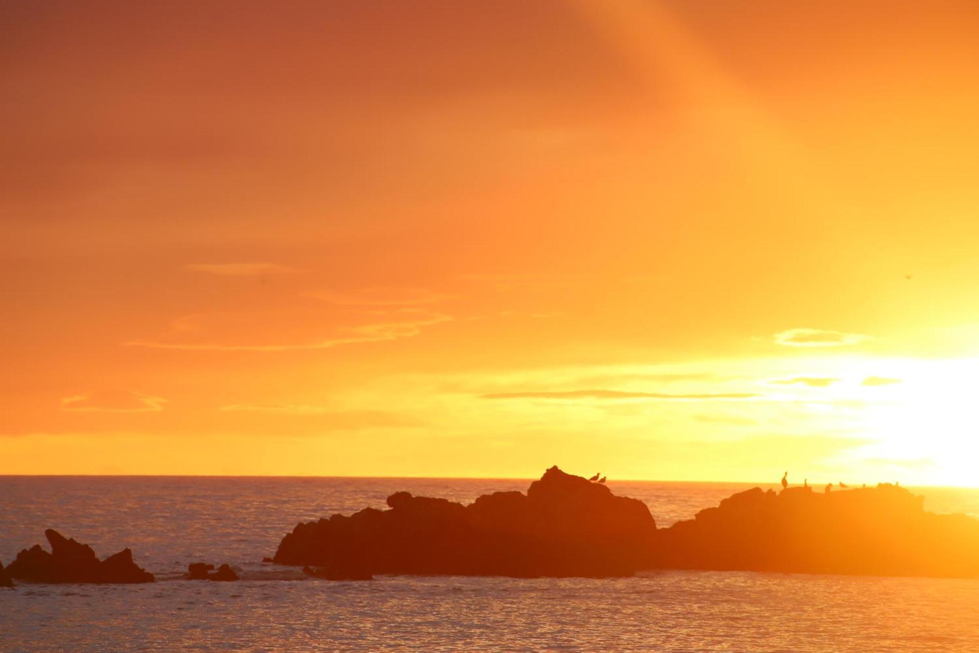 Sierra Beachfront Motel Kaikoura Zewnętrze zdjęcie