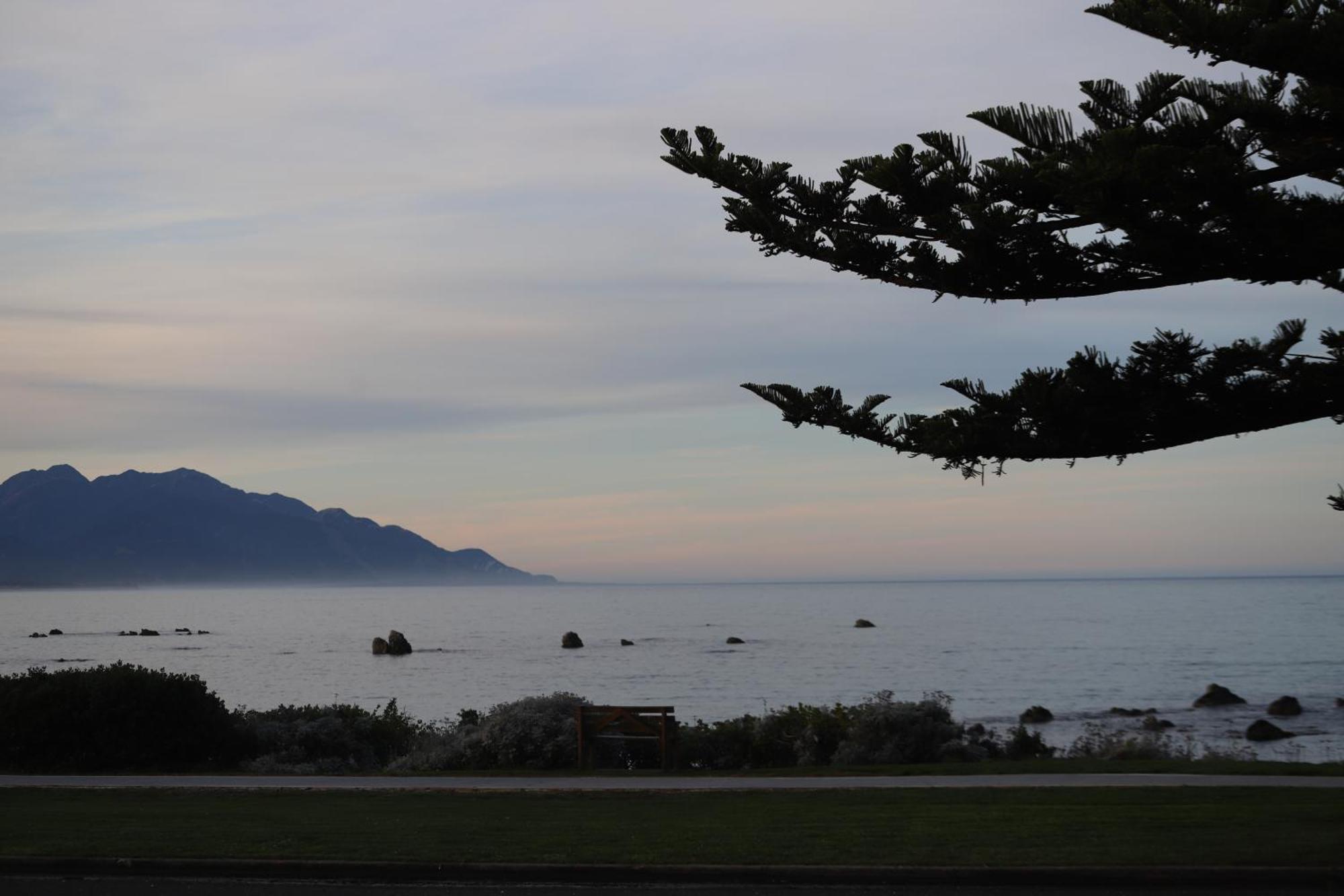 Sierra Beachfront Motel Kaikoura Zewnętrze zdjęcie